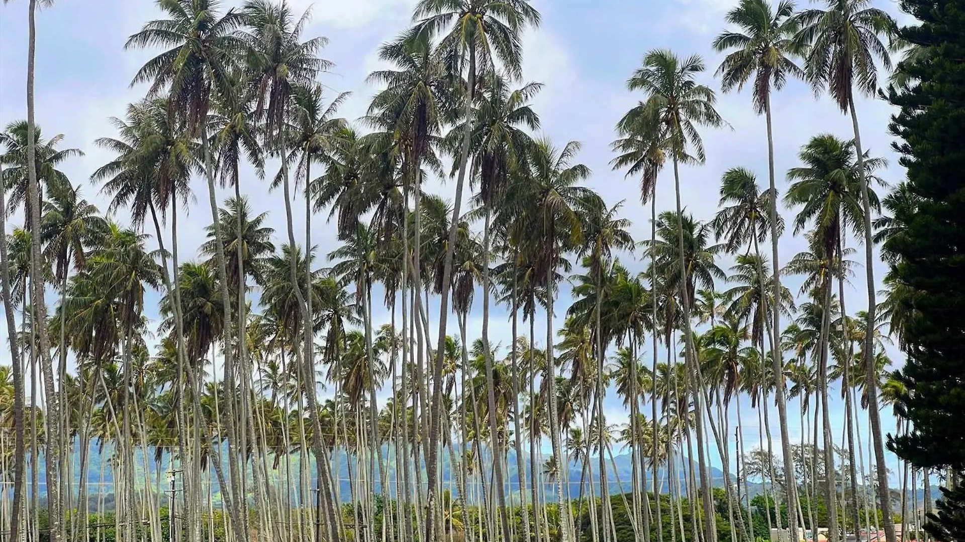 Islander On The Beach 151 Kapa'a 0*,  USA